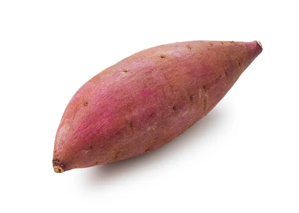 One Sweet Potato Placed White Background — Stock Photo, Image