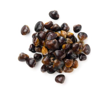 Beyaz arka planda tatlı su midyesi. Yukarıdan bir manzara