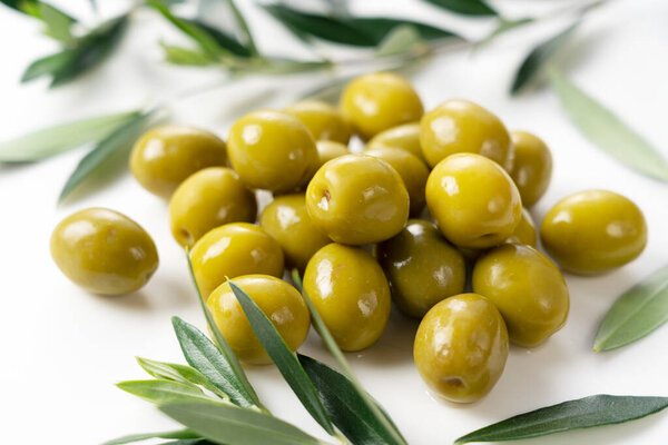 Close-up of the olive branch with salted olives placed on a white background