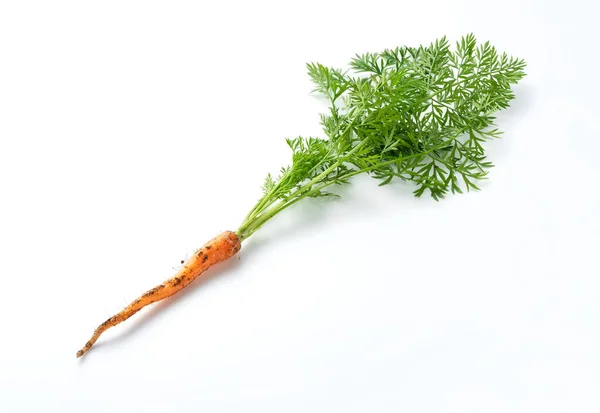 Freshly Picked Carrots Placed White Background — Stock Fotó