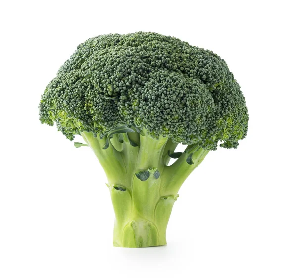 Brokoli Ditempatkan Pada Latar Belakang Putih — Stok Foto