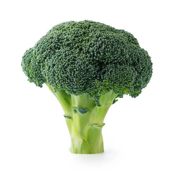Broccoli Placeras Vit Bakgrund — Stockfoto