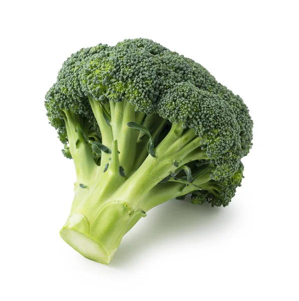 Brokoli Ditempatkan Pada Latar Belakang Putih — Stok Foto