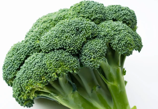 Närbild Broccoli Placeras Vit Bakgrund — Stockfoto