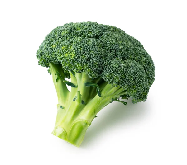 Broccoli Placeras Vit Bakgrund — Stockfoto