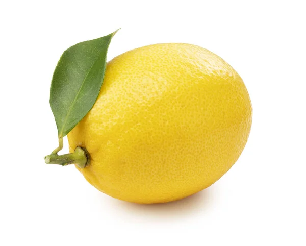 Лимон Білому Тлі — стокове фото