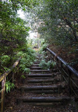 Dağ yolunda eski ahşap merdivenler