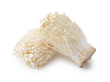 Beyaz arka planda Enoki mantarları. Yakın çekim, Doku