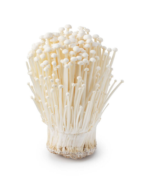 Enoki mushrooms on a white background. Close-Up, Texture