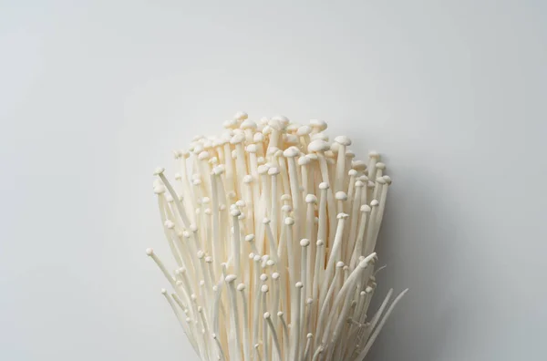 Enoki Gomba Fehér Alapon Fénymásoló Felülettel — Stock Fotó