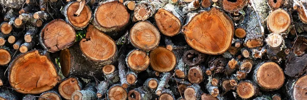 Cherry trees cut and stacked on top of each other. Trees Background