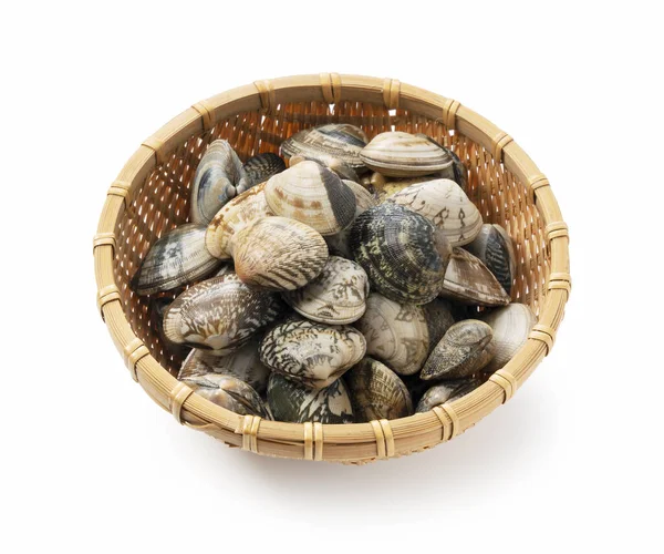 Asari Clams Colander White Background Asari Clams Bivalves Found Japan — Stock Photo, Image