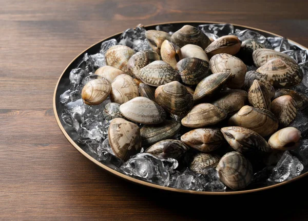 Ice and Asari clams in a plate on a wooden background. Asari clams are bivalves found in Japan.