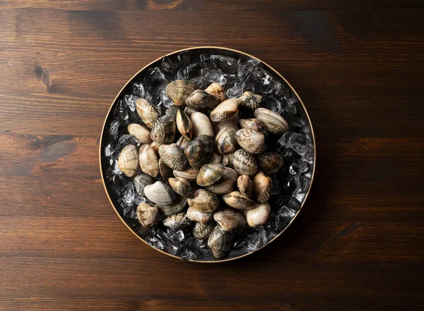 Ice and asari clams in a plate on a wooden background.  View from above