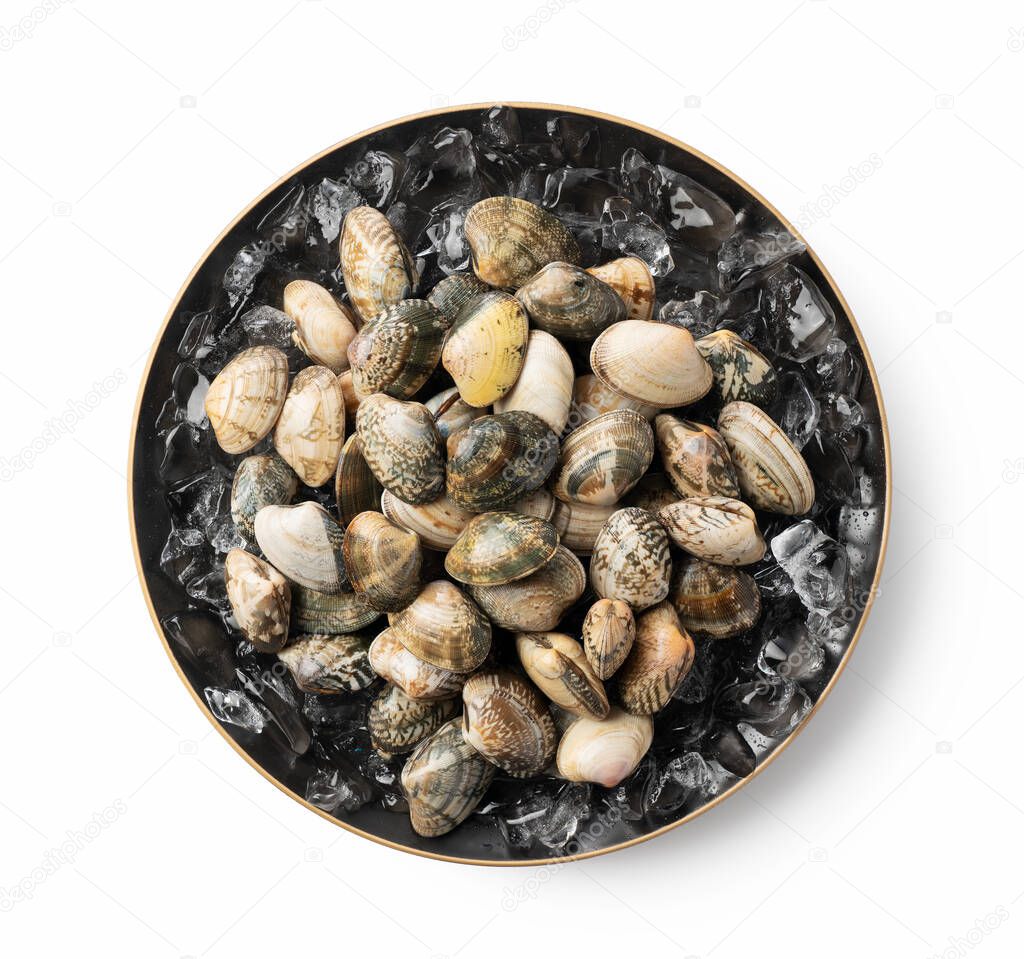 Asari clams and ice in a plate on a white background.  View from above