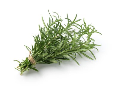 Beyaz arka planda bir demet taze biberiye filizi.