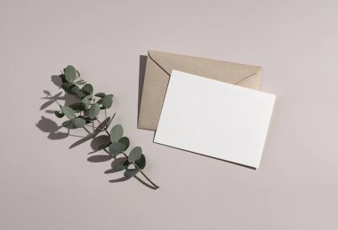 Yaz düğün kırtasiyesi modeli. Düz tebrik kartları, davetiyeler ve bej arka planda okaliptüs yaprakları. Doğal ışık ve gölge örtüsü. Düz yatış, üst görünüm.
