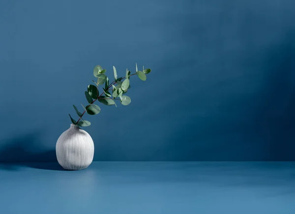 Minimalist still life scene. Ceramic ball-shaped vase and plant. Blue wall, sunlight and long shadows on the background of the table. Trendy interior design. Copy space. Pastel colors