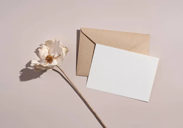 Summer wedding stationery mockup. Solid color greeting cards and invitations on beige background. White flowers. Natural light and shadow overlay. Flat lay, top view.