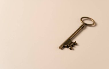 Bej arkaplanda kopyalama alanı olan pirinç tuşlar.