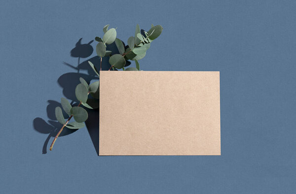 Это макет канцелярских принадлежностей для летней свадьбы. простые коричневые поздравительные открытки и приглашения на голубом фоне. листья эвкалипта. естественный свет и тень накладываются. плоский, вид сверху.
