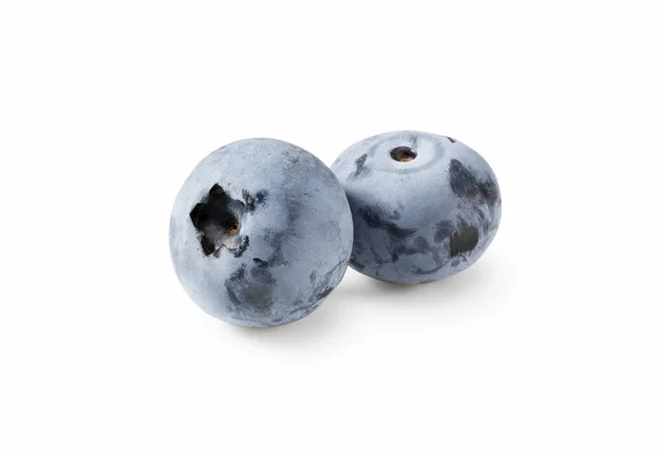 Two Blueberries White Background — Stock Photo, Image