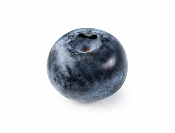 Single Blueberry White Background — Stock Photo, Image