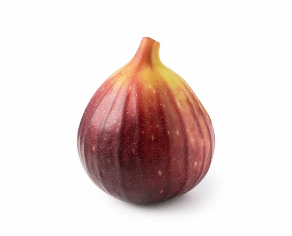 Single Fig Placed White Background — Stock Photo, Image