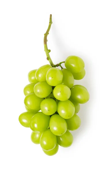 Lśniące Winogrona Muscat Białym Tle Białe Winogrona Japońskie Winogrona Widok — Zdjęcie stockowe