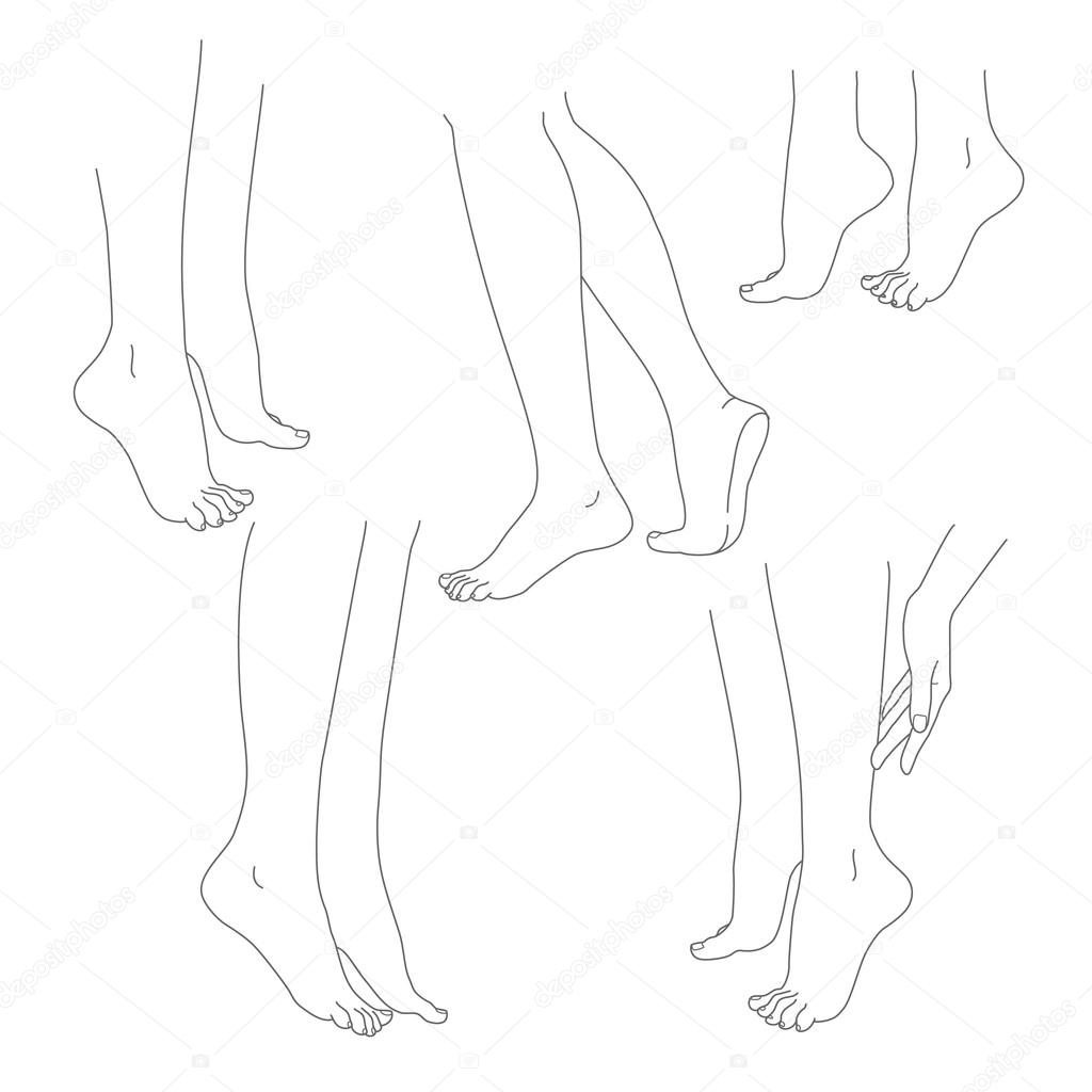 Womans legs female bare feet vector set