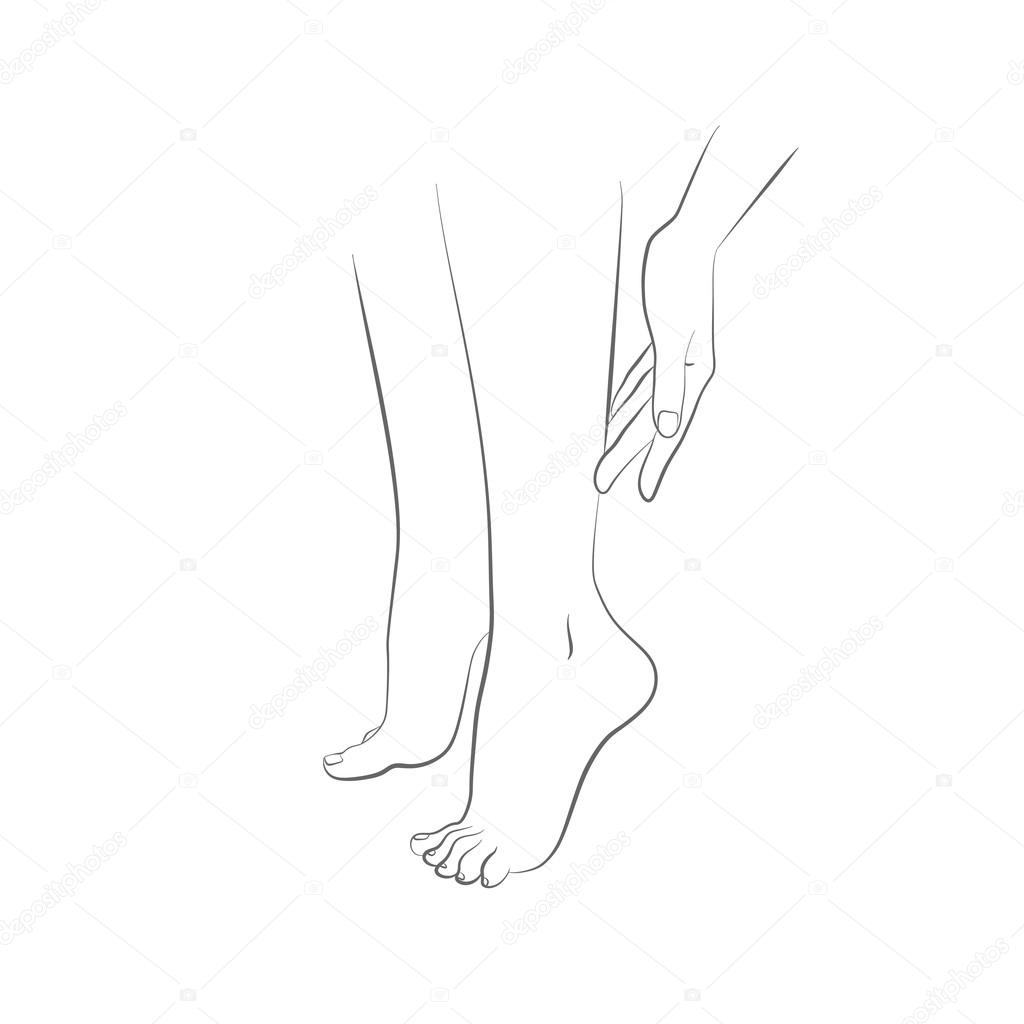 Beautiful womans female legs and hand vector