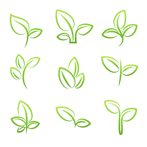 Leaf simbol, Set of green leaves design elements