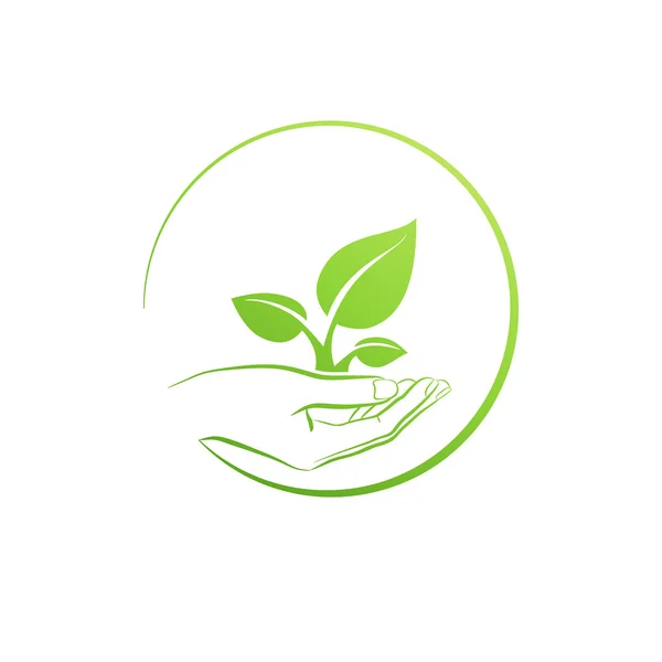 Hand met plant, logo groei concept vectorillustratie — Stockvector