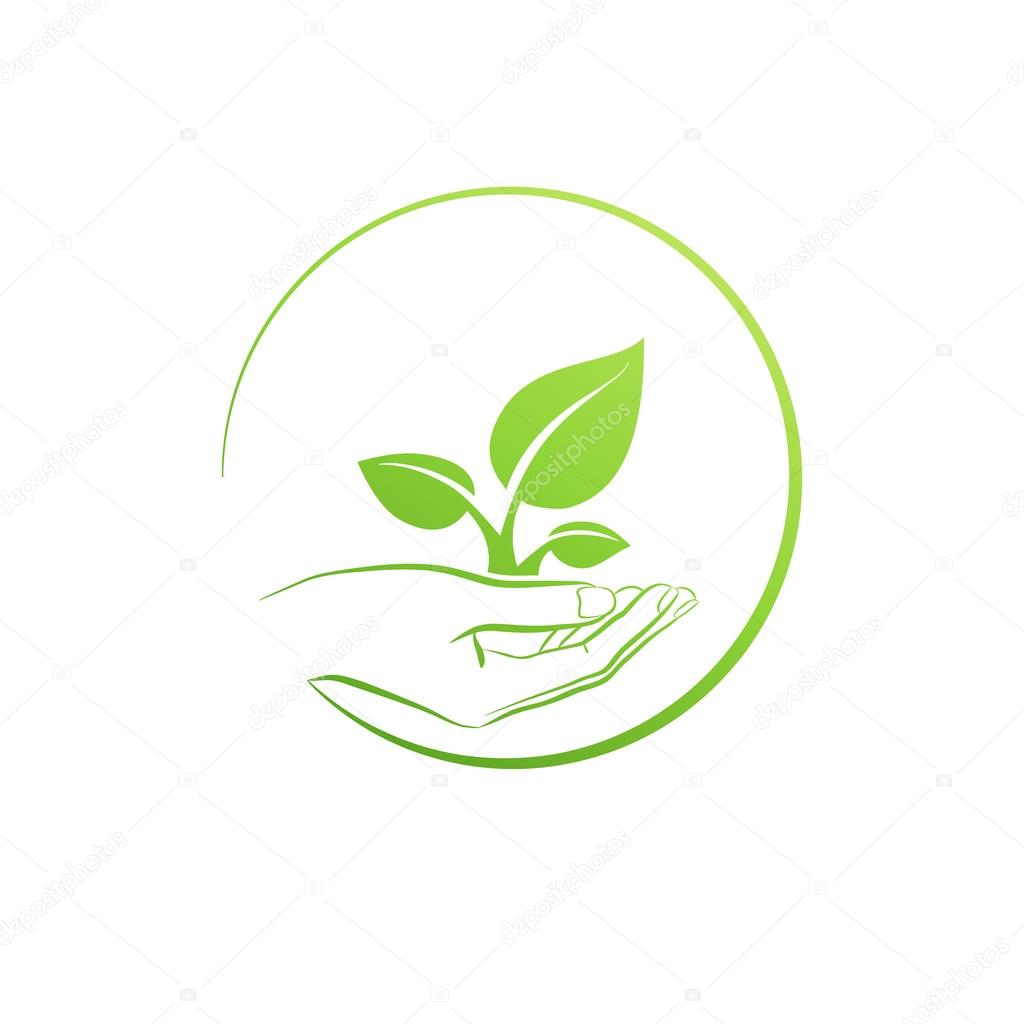 Hand holding plant, logo  concept vector illustration