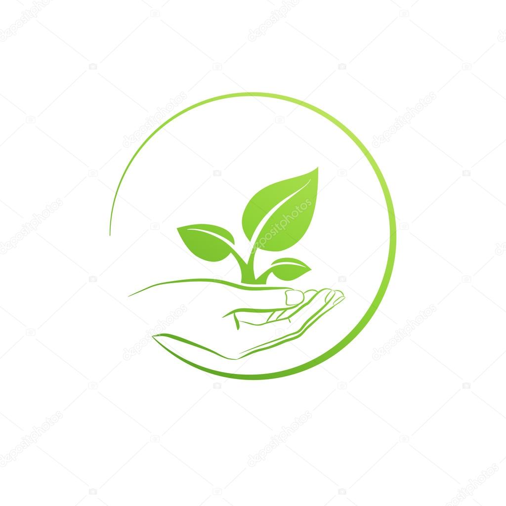 Hand holding plant, logo growth concept vector illustration