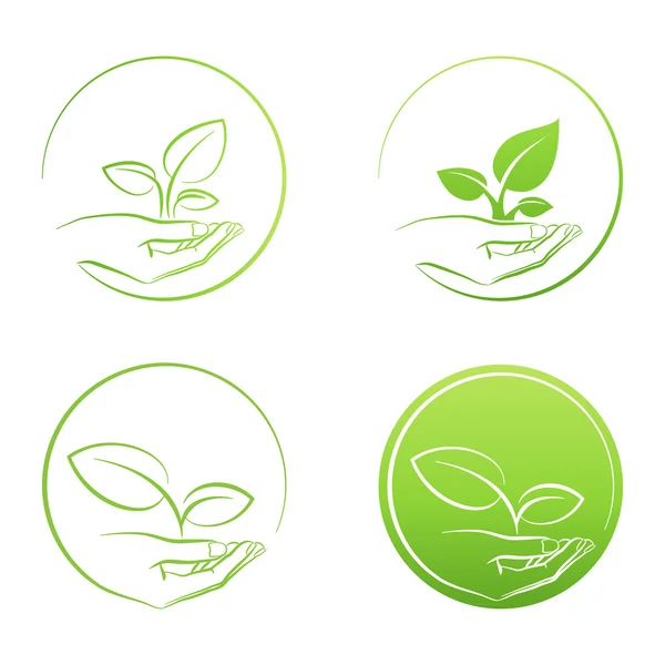 Hand holding plant, logo growth concept vector set — Stock Vector