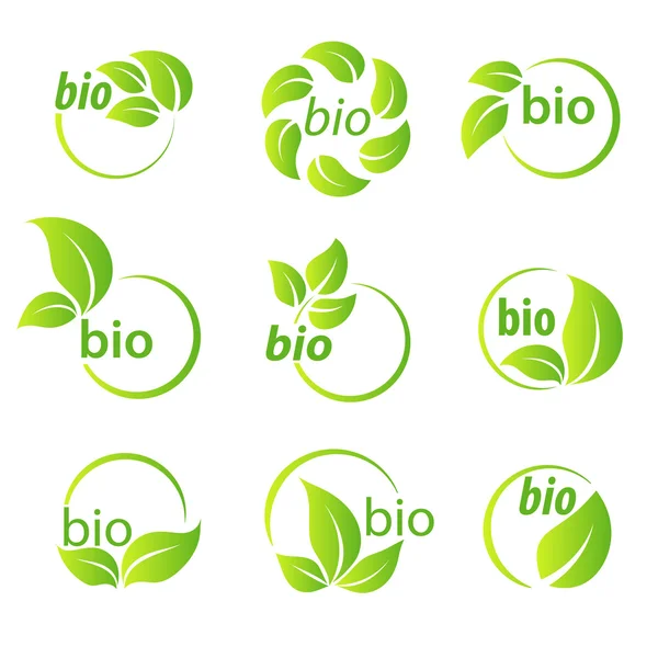 Conjunto de folhas verdes bio símbolo elementos de design —  Vetores de Stock