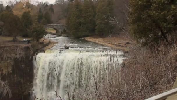 Ontario Kanada 'daki Hamilton Doğa Görüntüleri, iyi bir geçmiş kaydı. — Stok video