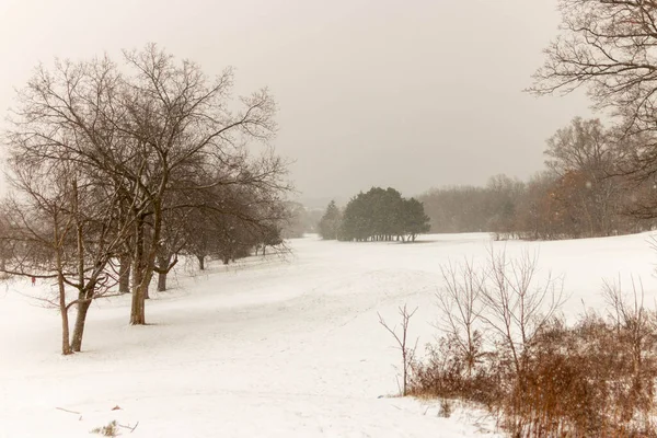 Paesaggio invernale in Canada dopo una fresca nevicata — Foto Stock