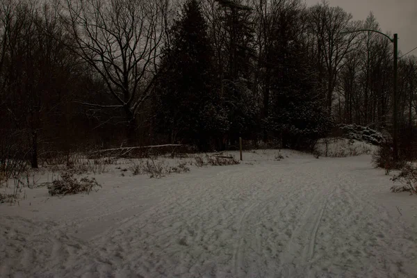 Winter hiking in London Ontario Canada