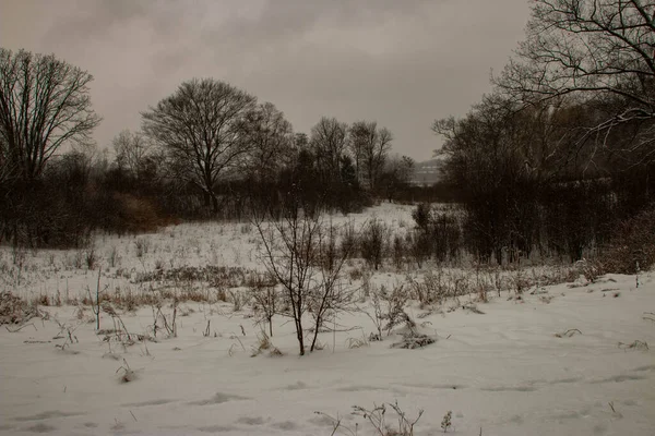 Escursioni invernali a Londra Ontario Canada — Foto Stock