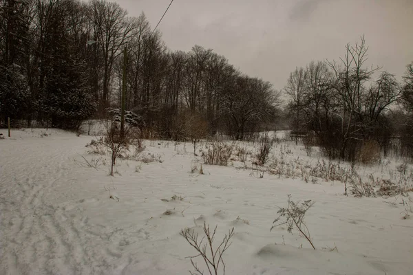 Surrealismo invernale fotografia di paesaggio a Londra Canada — Foto Stock