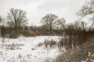 Minimalist kış manzarası manzara resmi. Eşsiz perspektif