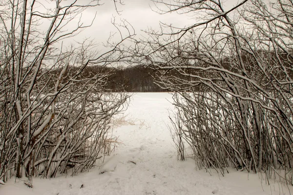 Entrare nell'abisso ghiacciato. Un surrealismo invernale foto — Foto Stock