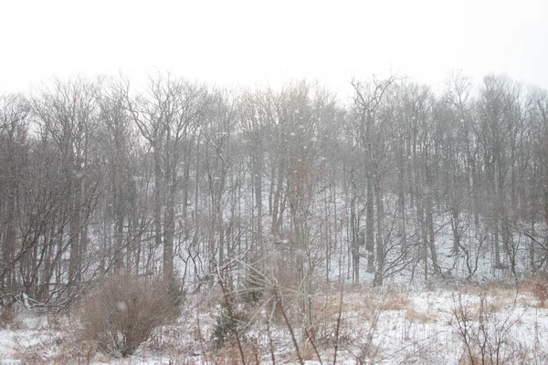Paesaggio invernale in Canada dopo una fresca nevicata — Foto Stock