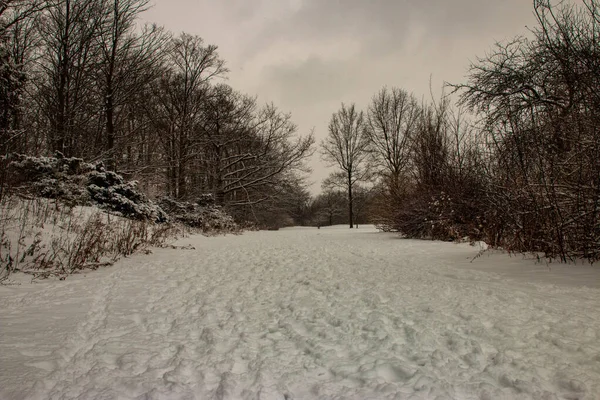 Escursioni invernali a Londra Ontario Canada — Foto Stock