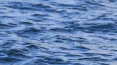 Ontario 'daki saldırgan dalgaların soyut yakın çekim videosu 