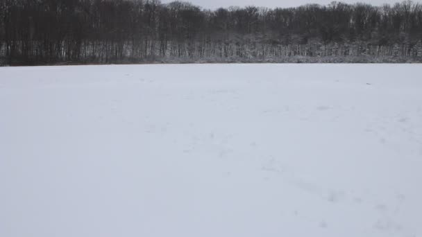 Panorama śniegu na zamarzniętym jeziorze w Londynie Ontario — Wideo stockowe