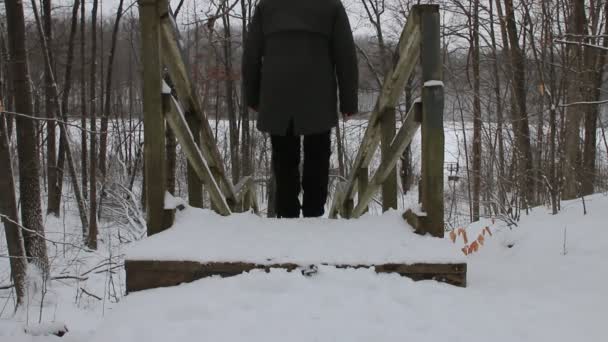 Londres Canadá, 26 de enero de 2021: Las mujeres suben escaleras resbaladizas de invierno. Tema de la actividad invernal en Canadá — Vídeo de stock
