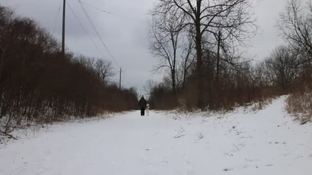 Hamilton Canada, 19 de janeiro de 2020: Mulheres caminhando com seu cachorro em uma trilha de inverno. Caminhadas é uma boa atividade socialmente distanciada — Vídeo de Stock